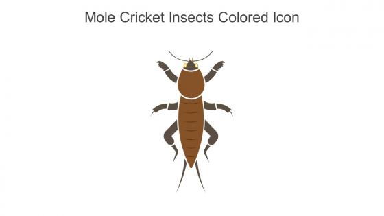 Mole Cricket Insects Colored Icon In Powerpoint Pptx Png And Editable Eps Format