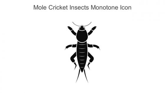 Mole Cricket Insects Monotone Icon In Powerpoint Pptx Png And Editable Eps Format