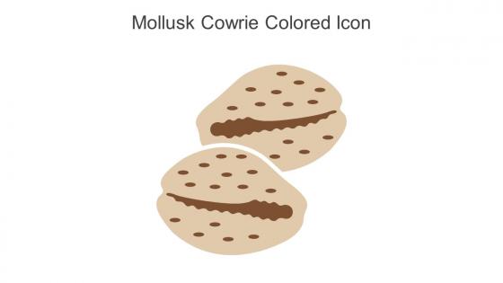 Mollusk Cowrie Colored Icon In Powerpoint Pptx Png And Editable Eps Format