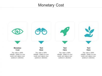 Monetary cost ppt powerpoint presentation summary template cpb