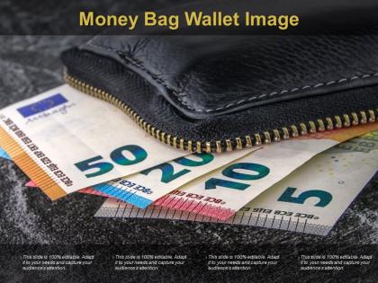 Money bag wallet image