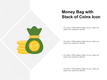 Money bag with stack of coins icon