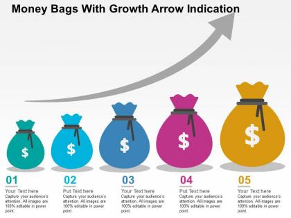 Money bags with growth arrow indication flat powerpoint design
