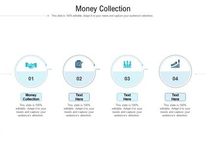 Money collection ppt powerpoint presentation icon infographic template cpb