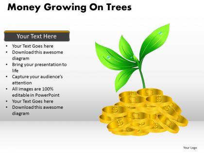 Money growing on trees ppt 8