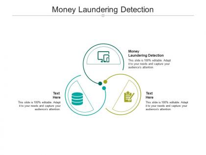 Money laundering detection ppt powerpoint presentation infographics template cpb