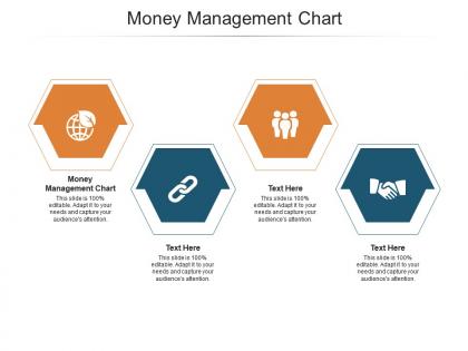 Money management chart ppt powerpoint presentation portfolio gridlines cpb
