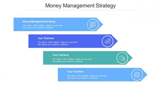 Money management strategy ppt powerpoint presentation show design ideas cpb