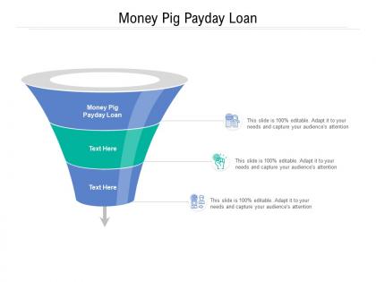 Money pig payday loan ppt powerpoint presentation professional background image cpb