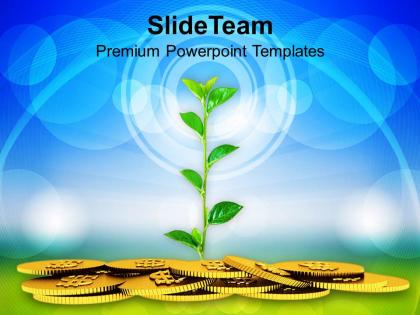 Money plant concept finance powerpoint templates ppt themes and graphics 0213