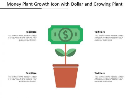 Money plant growth icon with dollar and growing plant