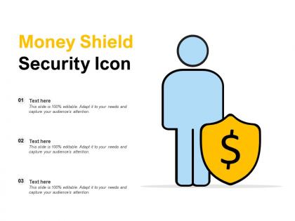 Money shield security icon