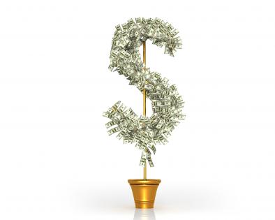 Money tree in shape of dollar symbol stock photo