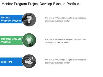 Monitor program project develop execute portfolio communication report