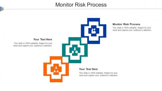 Monitor Risk Process Ppt Powerpoint Presentation Infographics Model Cpb