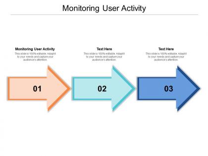 Monitoring user activity ppt powerpoint presentation summary slides cpb