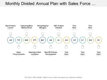 Monthly divided annual plan with sales force increase and new locations