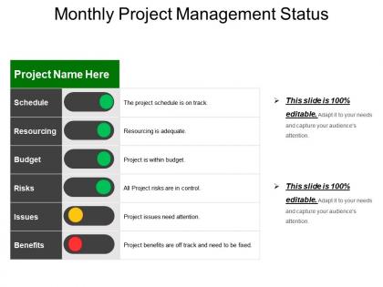 Monthly project management status example of ppt