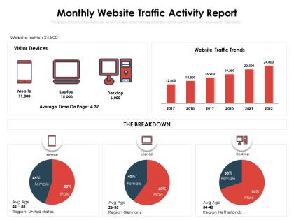 Monthly website traffic activity report