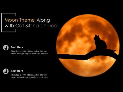 Moon theme along with cat sitting on tree