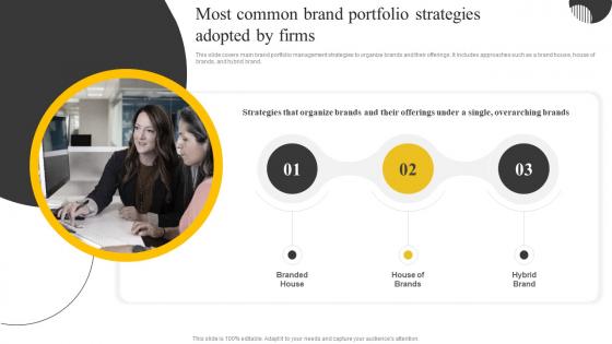 Most Common Brand Portfolio Strategies Adopted Brand Portfolio Strategy And Brand Architecture