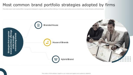 Most Common Brand Portfolio Strategies Adopted By Firms Aligning Brand Portfolio Strategy With Business