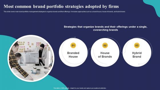 Most Common Brand Portfolio Strategies Adopted By Firms Brand Portfolio Strategy Guide