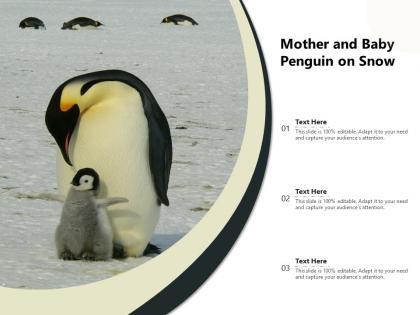 Mother and baby penguin on snow