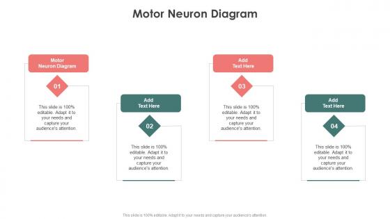 Motor Neuron Diagram In Powerpoint And Google Slides Cpb