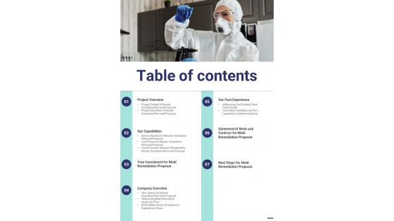 Mouldy Substance Removal Proposal Table Of Contents One Pager Sample Example Document