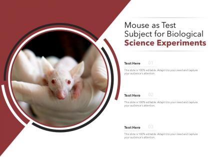 Mouse as test subject for biological science experiments
