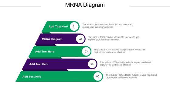 MRNA Diagram Ppt Powerpoint Presentation Summary Gridlines Cpb