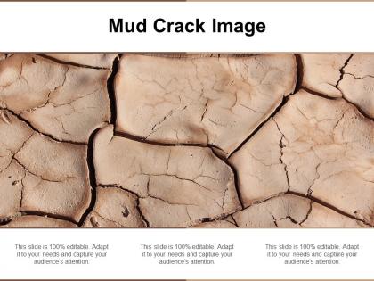 Mud crack image