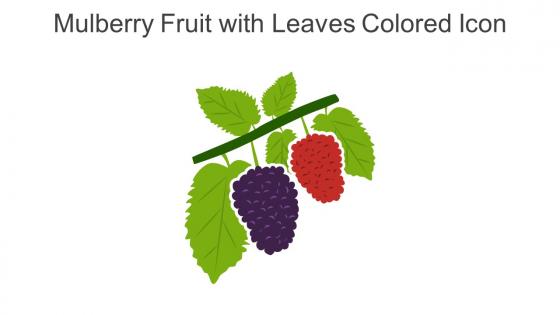 Mulberry Fruit With Leaves Colored Icon In Powerpoint Pptx Png And Editable Eps Format