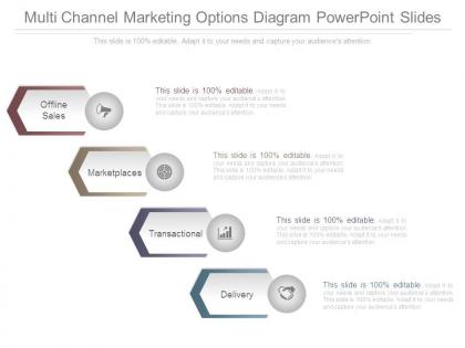 Multi channel marketing options diagram powerpoint slides