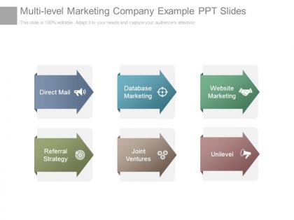 Multi level marketing company example ppt slides