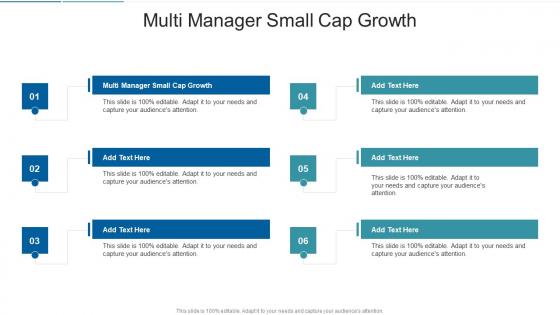 Multi Manager Small Cap Growth In Powerpoint And Google Slides Cpb