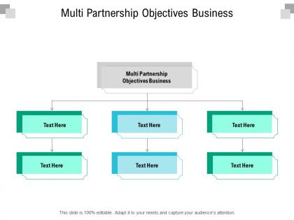 Multi partnership objectives business ppt powerpoint presentation show graphics design cpb