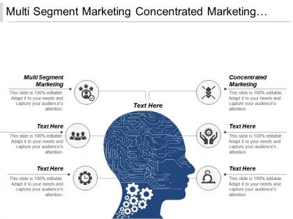 Multi segment marketing concentrated marketing niche marketing global market