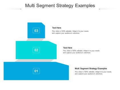 Multi segment strategy examples ppt powerpoint presentation model demonstration cpb