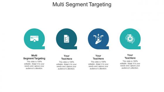 Multi segment targeting ppt powerpoint presentation layouts icon cpb