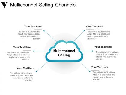 Multichannel selling channels powerpoint slide rules