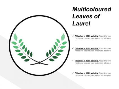 Multicoloured leaves of laurel