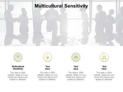 Multicultural sensitivity ppt powerpoint presentation styles infographics cpb