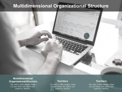 Multidimensional organizational structure ppt powerpoint presentation show cpb