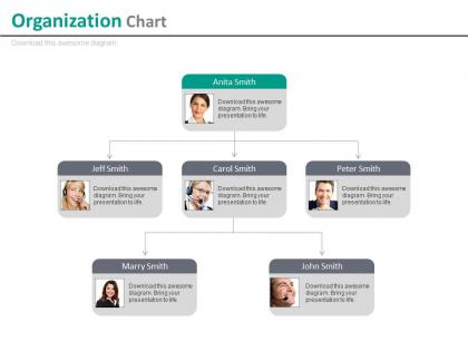 Multilevel company organizational chart for employee profile powerpoint slides