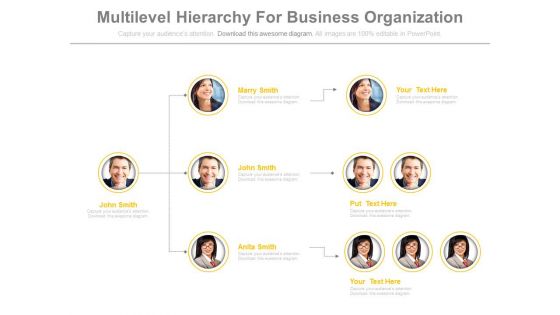 Multilevel hierarchy for business organization powerpoint slides