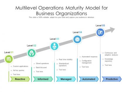 Multilevel operations maturity model for business organizations