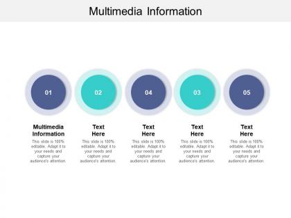Multimedia information ppt powerpoint presentation summary introduction cpb