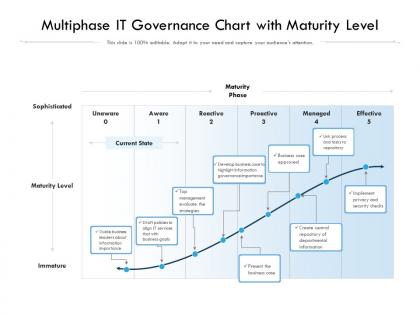 Multiphase it governance chart with maturity level